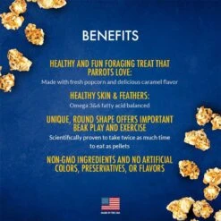 Lafeber Popcorn Nutri-Berries Parrot Bird Treat -Sunny Decor Shop 137413 PT5. AC SS1800 V1683559128