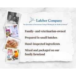 Lafeber Fruit Delight Avi-Cakes Small Bird Food, 8-oz Bag -Sunny Decor Shop 137416 PT7. AC SS1800 V1620696432