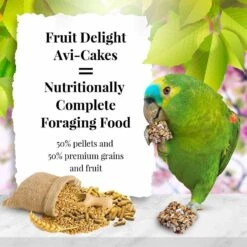 Lafeber Fruit Delight Avi-Cakes Large Bird Food -Sunny Decor Shop 137418 PT3. AC SS1800 V1620692232