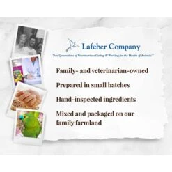 Lafeber Fruit Delight Avi-Cakes Large Bird Food -Sunny Decor Shop 137418 PT7. AC SS1800 V1620687167