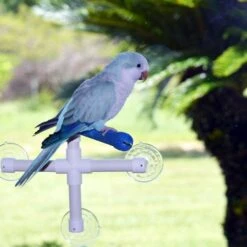 Super Bird Creations Fold Away Shower Window Bird Perch, Medium/Large -Sunny Decor Shop 138646 PT3. AC SS1800 V1663012670