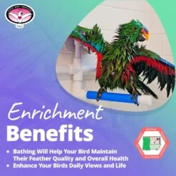 Super Bird Creations Fold Away Shower Window Bird Perch, Medium/Large -Sunny Decor Shop 138646 PT4. AC SS1800 V1663012670