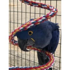 Super Bird Creations Rope Bungee Bird Perch, Color Varies, X-Large 17 Super Bird Creations Rope Bungee Bird Perch, Color Varies, X-Large -Sunny Decor Shop 138657 PT8. AC SS1800 V1662671144