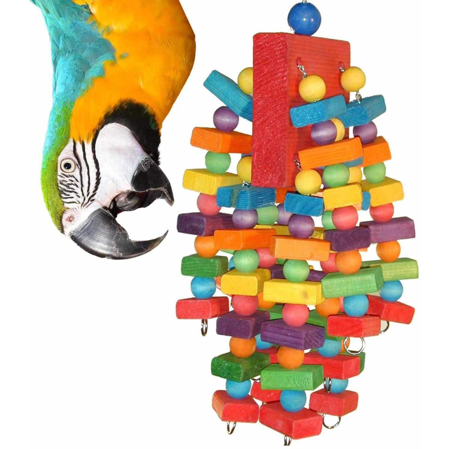 Super Bird Creations Beakasaurus Bird Toy, Large/X-Large 3 Super Bird Creations Beakasaurus Bird Toy, Large/X-Large