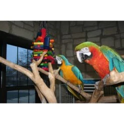 Super Bird Creations Beakasaurus Bird Toy, Large/X-Large 14 Super Bird Creations Beakasaurus Bird Toy, Large/X-Large -Sunny Decor Shop 138667 PT3. AC SS1800 V1662670800