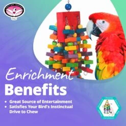 Super Bird Creations Beakasaurus Bird Toy, Large/X-Large 15 Super Bird Creations Beakasaurus Bird Toy, Large/X-Large -Sunny Decor Shop 138667 PT4. AC SS1800 V1662671535