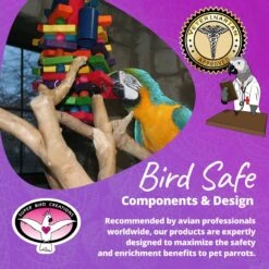 Super Bird Creations Beakasaurus Bird Toy, Large/X-Large 18 Super Bird Creations Beakasaurus Bird Toy, Large/X-Large -Sunny Decor Shop 138667 PT7. AC SS1800 V1685653314