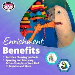 Super Bird Creations 4 Way Play Bird Toy, Large -Sunny Decor Shop 138669 PT4. AC SS1800 V1662671535