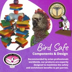 Super Bird Creations 4 Way Play Bird Toy, Large -Sunny Decor Shop 138669 PT7. AC SS1800 V1685653049