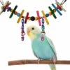 Super Bird Creations Rainbow Bridge Bird Toy, Small -Sunny Decor Shop 138672 MAIN. AC SS1800 V1662689549