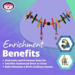 Super Bird Creations Rainbow Bridge Bird Toy, Small -Sunny Decor Shop 138672 PT4. AC SS1800 V1665781112