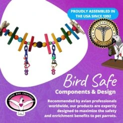 Super Bird Creations Rainbow Bridge Bird Toy, Small -Sunny Decor Shop 138672 PT7. AC SS1800 V1685653663