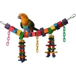 Super Bird Creations Rainbow Bridge Bird Toy, Medium/Large -Sunny Decor Shop 138673 PT3. AC SS1800 V1662670969
