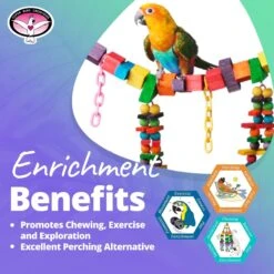 Super Bird Creations Rainbow Bridge Bird Toy, Medium/Large -Sunny Decor Shop 138673 PT4. AC SS1800 V1662689606