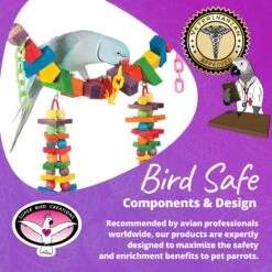 Super Bird Creations Rainbow Bridge Bird Toy, Medium/Large -Sunny Decor Shop 138673 PT7. AC SS1800 V1685653661