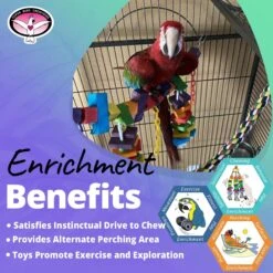 Super Bird Creations Rainbow Bridge Bird Toy, Large/X-Large -Sunny Decor Shop 138674 PT4. AC SS1800 V1685652533