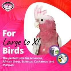 Super Bird Creations Rainbow Bridge Bird Toy, Large/X-Large -Sunny Decor Shop 138674 PT5. AC SS1800 V1685652168