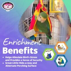 Super Bird Creations Peekaboo Perch Bird Tent, Color Varies, Small -Sunny Decor Shop 138676 PT4. AC SS1800 V1662684587