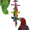 Super Bird Creations Olympic Rings Bird Toy, Large -Sunny Decor Shop 138679 MAIN. AC SS1800 V1662671217