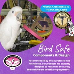 Super Bird Creations Olympic Rings Bird Toy, Large -Sunny Decor Shop 138679 PT7. AC SS1800 V1685653662