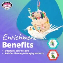 Super Bird Creations Foraging Basket Bird Toy, Medium -Sunny Decor Shop 138683 PT4. AC SS1800 V1662671595