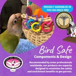 Super Bird Creations Foraging Basket Bird Toy, Medium -Sunny Decor Shop 138683 PT7. AC SS1800 V1685652651