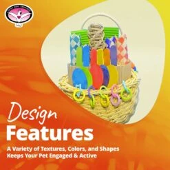 Super Bird Creations Foraging Basket Bird Toy, Medium -Sunny Decor Shop 138683 PT8. AC SS1800 V1662671843
