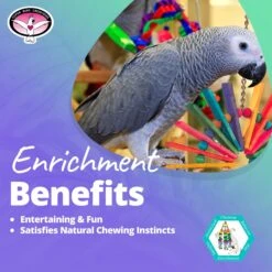 Super Bird Creations Peacock Senior Bird Toy, Large -Sunny Decor Shop 138685 PT4. AC SS1800 V1662689059