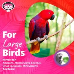 Super Bird Creations Peacock Senior Bird Toy, Large -Sunny Decor Shop 138685 PT5. AC SS1800 V1662689307