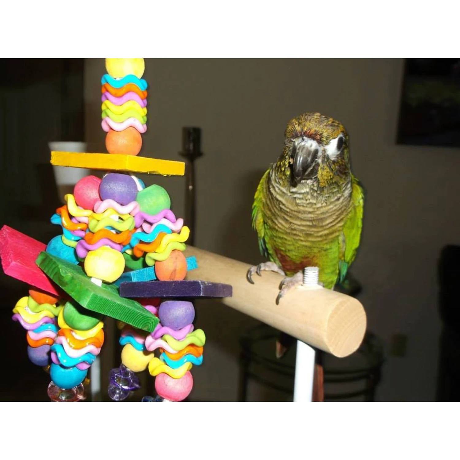 Super Bird Creations Wiggles & Wafers Bird Toy, Medium 6 Super Bird Creations Wiggles & Wafers Bird Toy, Medium - Image 4
