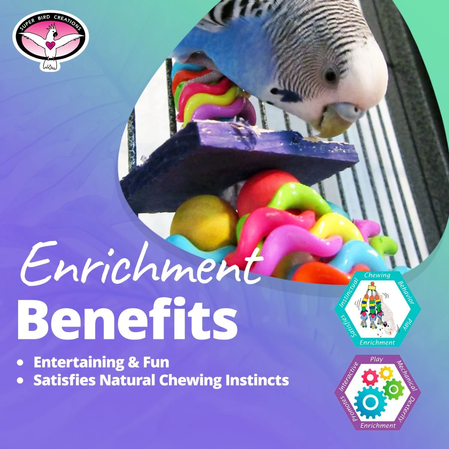 Super Bird Creations Wiggles & Wafers Bird Toy, Medium 7 Super Bird Creations Wiggles & Wafers Bird Toy, Medium - Image 5