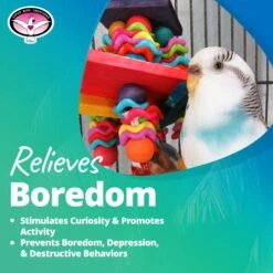 Super Bird Creations Wiggles & Wafers Bird Toy, Medium 17 Super Bird Creations Wiggles & Wafers Bird Toy, Medium -Sunny Decor Shop 138691 PT6. AC SS1800 V1662671211