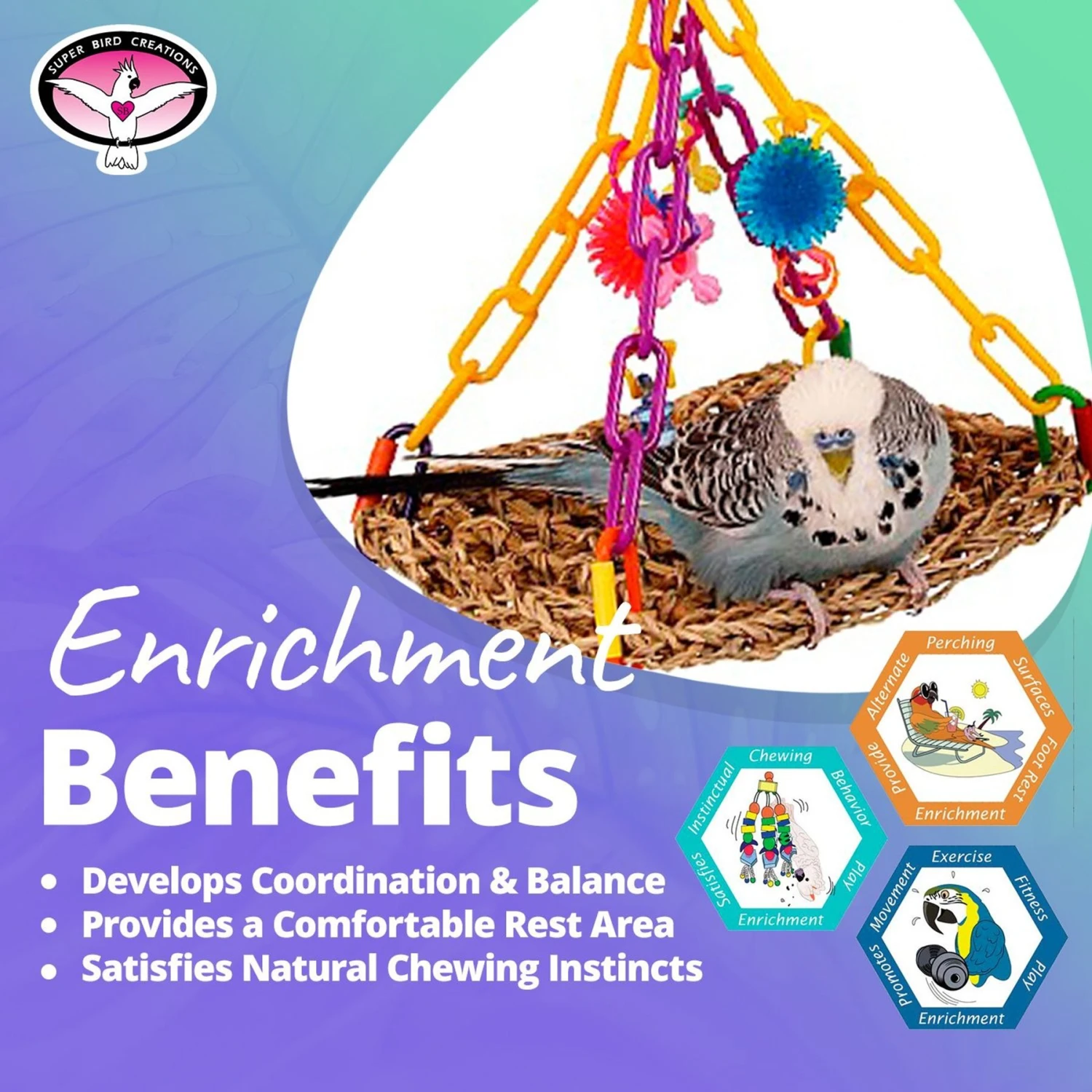 Super Bird Creations Flying Trapeze Bird Toy, Small 7 Super Bird Creations Flying Trapeze Bird Toy, Small - Image 5