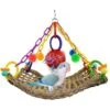 Super Bird Creations Flying Trapeze Bird Toy, Medium 1 Super Bird Creations Flying Trapeze Bird Toy, Medium -Sunny Decor Shop 138696 MAIN. AC SS1800 V1662689247