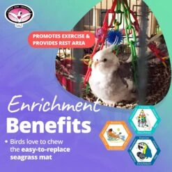 Super Bird Creations Flying Trapeze Bird Toy, Medium -Sunny Decor Shop 138696 PT4. AC SS1800 V1662689541