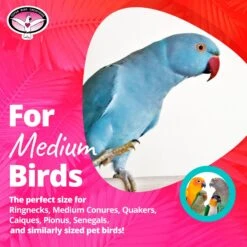 Super Bird Creations Flying Trapeze Bird Toy, Medium -Sunny Decor Shop 138696 PT5. AC SS1800 V1662689366