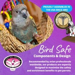 Super Bird Creations Flying Trapeze Bird Toy, Medium -Sunny Decor Shop 138696 PT7. AC SS1800 V1685652591