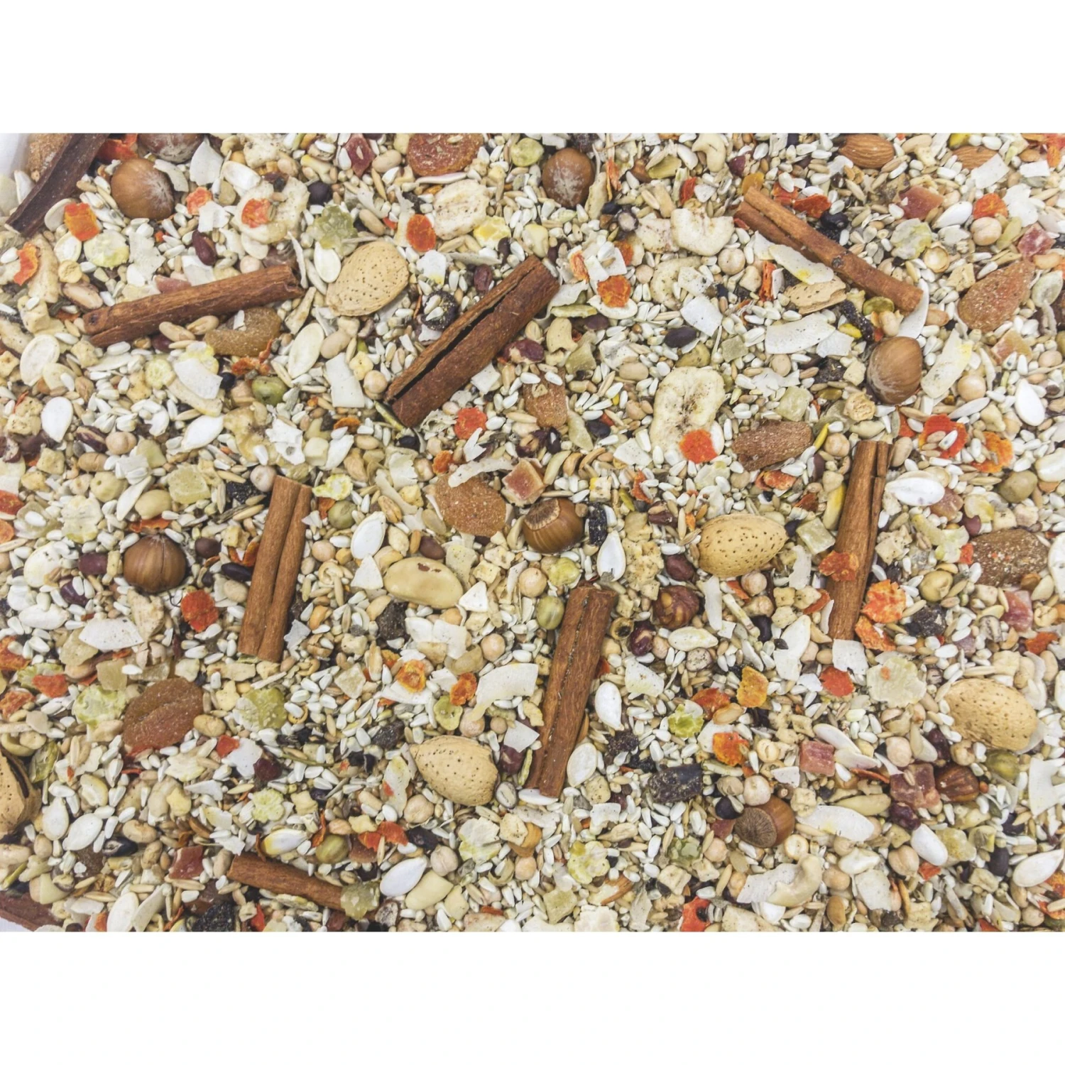 Higgins Mayan Harvest Celestial Parrot Food 5 Higgins Mayan Harvest Celestial Parrot Food - Image 3