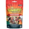 Higgins Sunburst True Fruits Dried Exotic Fruits Bird Treats 1 Higgins Sunburst True Fruits Dried Exotic Fruits Bird Treats -Sunny Decor Shop 139430 MAIN. AC SS1800 V1508249837