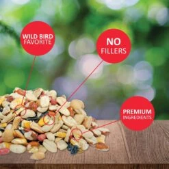 Lyric Fruit & Nut High Energy Mix Wild Bird Food -Sunny Decor Shop 141400 PT2. AC SS1800 V1662689666
