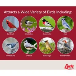 Lyric Fruit & Nut High Energy Mix Wild Bird Food -Sunny Decor Shop 141400 PT5. AC SS1800 V1662688879