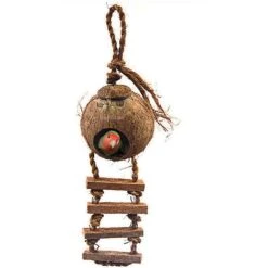 SunGrow Coconut Shell Nest & Window Feeder With Ladder Perch Cage Accessory & Hanging Parakeet, Finch & Budgie Bird House -Sunny Decor Shop 141440 PT1. AC SS1800 V1513379592