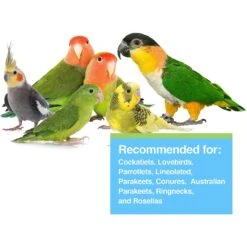 Hari Tropimix Enrichment Cockatiel & Lovebird Food 11 Hari Tropimix Enrichment Cockatiel & Lovebird Food -Sunny Decor Shop 142543 PT2. AC SS1800 V1627619513