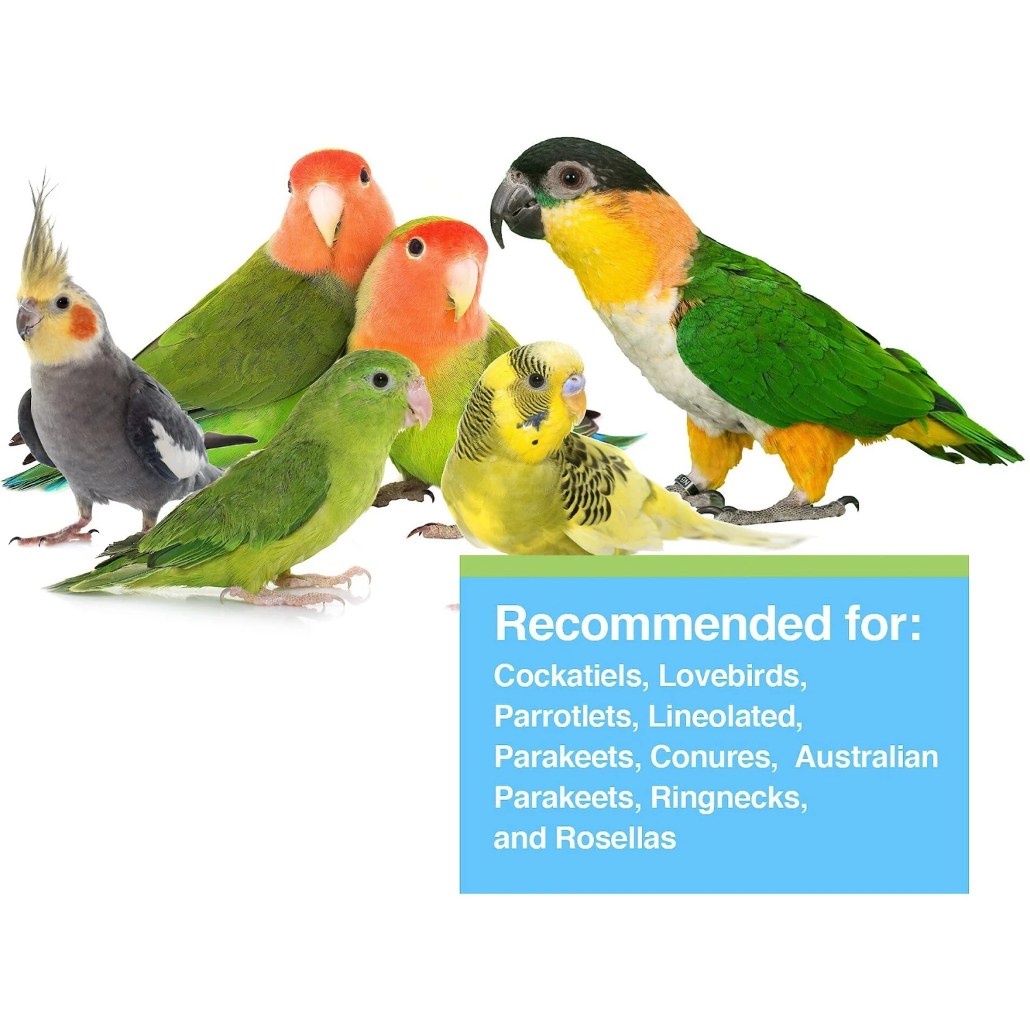 Hari Tropimix Enrichment Cockatiel & Lovebird Food 5 Hari Tropimix Enrichment Cockatiel & Lovebird Food - Image 3
