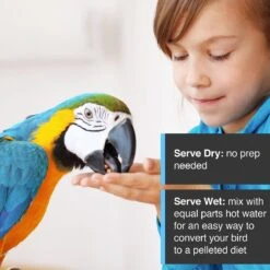 Hari Tropimix Enrichment Cockatiel & Lovebird Food 14 Hari Tropimix Enrichment Cockatiel & Lovebird Food -Sunny Decor Shop 142543 PT5. AC SS1800 V1627618925