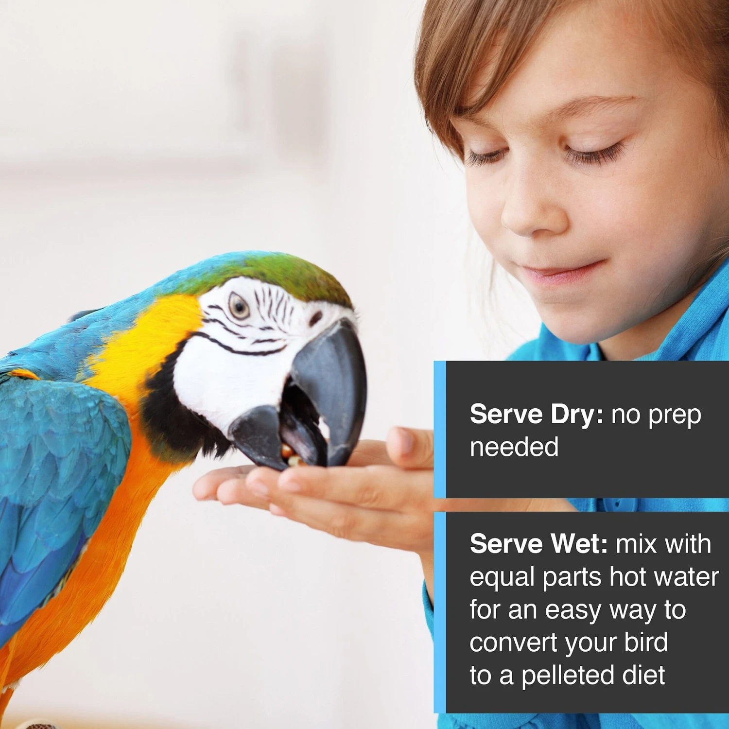 Hari Tropimix Enrichment Cockatiel & Lovebird Food 8 Hari Tropimix Enrichment Cockatiel & Lovebird Food - Image 6