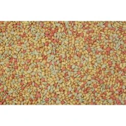 Higgins InTune Natural Bird Food 13 Higgins InTune Natural Bird Food -Sunny Decor Shop 144957 PT2. AC SS1800 V1602714977