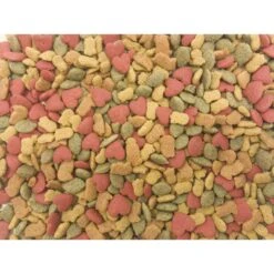 Higgins InTune Natural Parrot Food 13 Higgins InTune Natural Parrot Food -Sunny Decor Shop 144960 PT2. AC SS1800 V1602713480