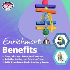 Super Bird Creations Balsa Munch Bird Toy, Small -Sunny Decor Shop 146971 PT4. AC SS1800 V1665670218