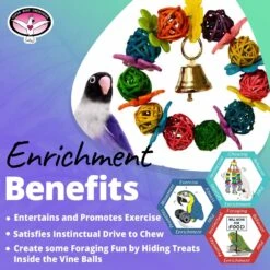 Super Bird Creations Daisy Ring Bird Toy, Small -Sunny Decor Shop 146975 PT4. AC SS1800 V1684340535